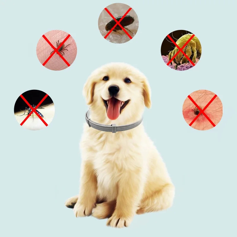 Coleira Anti-Pulgas e Carraça para Pets DM